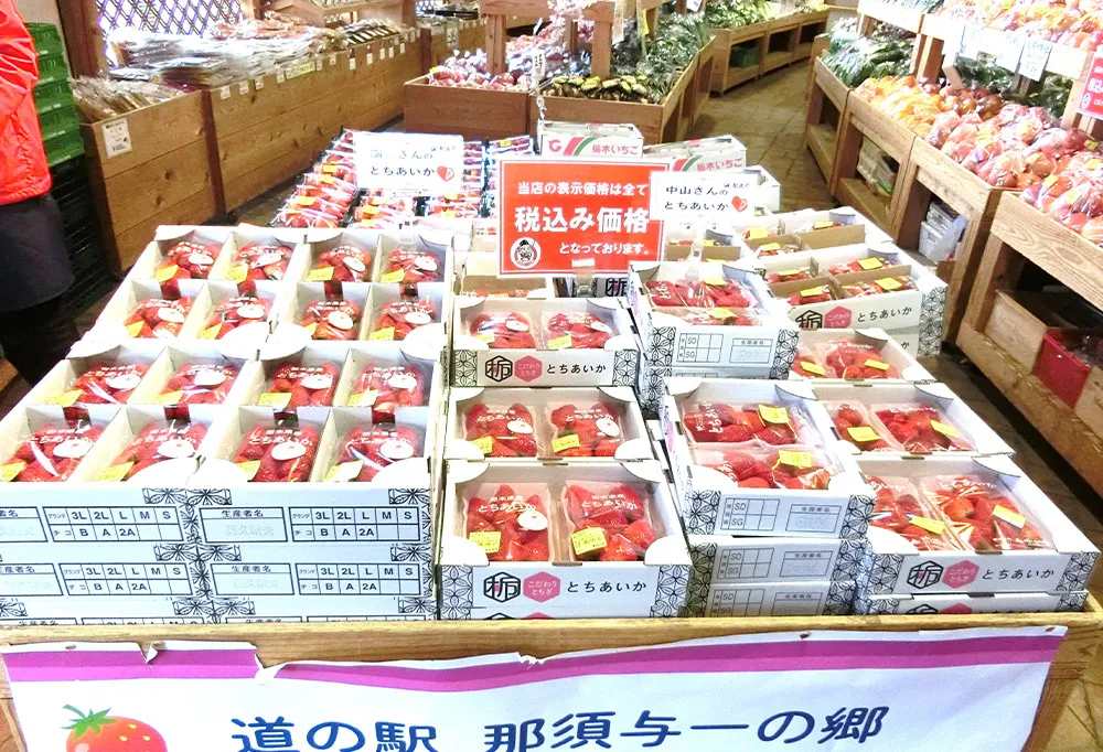 いちごは「とちあいか」をはじめ、様々な種類が勢ぞろい！