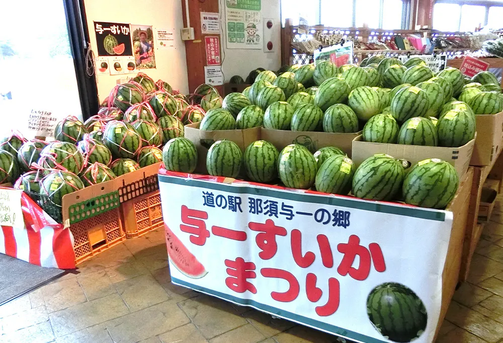与一すいかは、糖度の高い「大玉・小玉」がそろいます。
